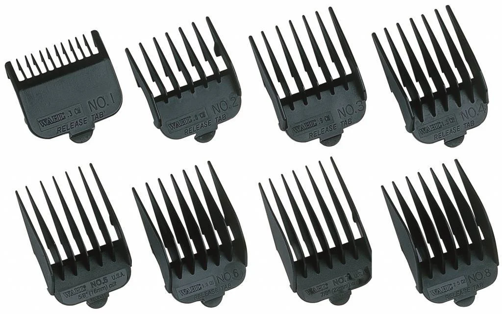 Miniatuur 1