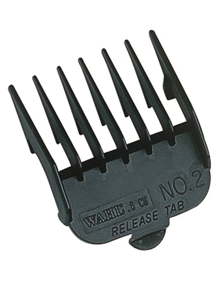Miniatuur 2