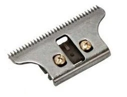 Miniatuur 2